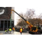 Grue Araignes LC 1385B 2