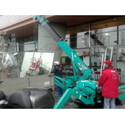 Grue araigne MC285 2